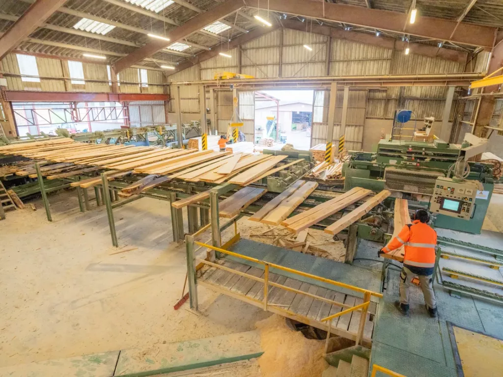 Hall de la scierie avec la ligne de tri des planches et un opérateur