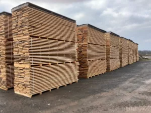 Piles de plateaux de hêtre sur liteaux, en séchage à l'air libre sur le parc